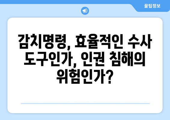 감치명령의 양면성| 용의자 보호 vs. 조사 효율성 | 형사소송법, 인권, 수사, 법원, 판례