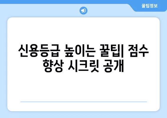 나의 신용등급은? 등급별 맞춤 신용 관리 가이드 | 신용등급, 신용관리, 신용점수, 신용대출, 카드 발급