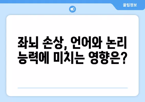 좌뇌와 우뇌 손상, 어떻게 다를까요? | 뇌 손상, 좌뇌 기능, 우뇌 기능, 차이점 비교